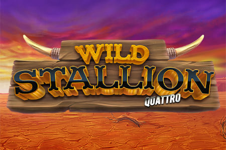 Wild Stallion