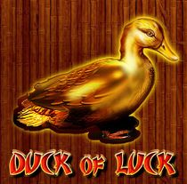 Duck Of Luck