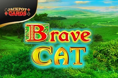 Brave Cat