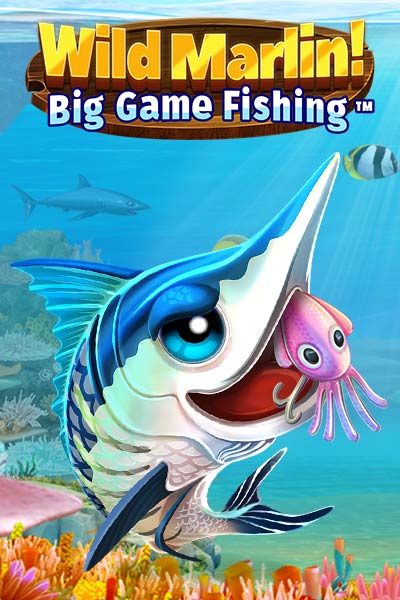 Wild Marlin! - Big Game Fishing